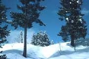 Winter in Gulmarg