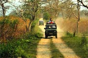 Jeep Safari