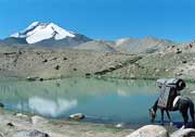 Lake in Laddakh
