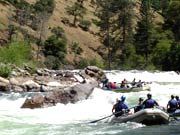 Rafting in Himalayas